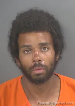 Mugshot of Ainsley Lavell Williams booked in Collier County, Florida on August 26, 2026