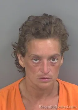 Mugshot of Ileana Ortega booked in Collier County, Florida on August 27, 2026