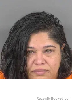 Mugshot of Mary Canales booked in Collier County, Florida on August 28, 2026