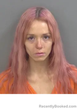 Mugshot of Amber Elizabeth Vassey booked in Collier County, Florida on August 30, 2026