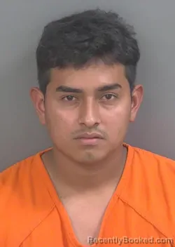 Mugshot of Cedric Juanmisael Gomezcastro booked in Collier County, Florida on August 30, 2026