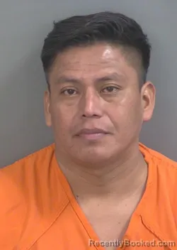 Mugshot of Danilo Rafael Turbincortez booked in Collier County, Florida on August 31, 2026