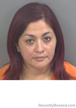 Mugshot of Lisa Rodriguez booked in Collier County, Florida on September 1, 2026