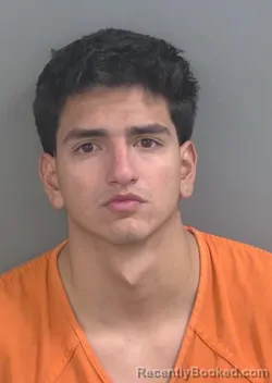 Mugshot of Luis Carlos Romanvaca booked in Collier County, Florida on September 2, 2026