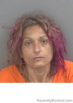 Mugshot of Stephanie Lewis booked in Collier County, Florida on September 2, 2026