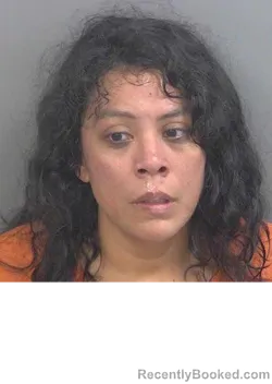 Mugshot of Jessica Morales booked in Collier County, Florida on September 2, 2026