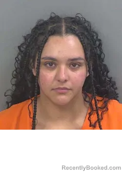 Mugshot of Genesis Marie Angulo booked in Collier County, Florida on September 6, 2026