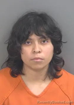 Mugshot of Kelly Alma Amoros-Guerrero booked in Collier County, Florida on September 12, 2026