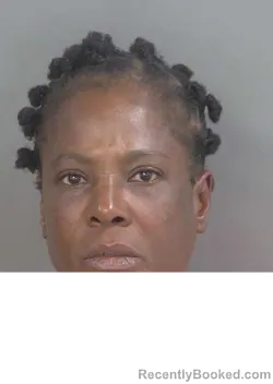 Mugshot of Christine Renee Millerwilliams booked in Collier County, Florida on October 22, 2026