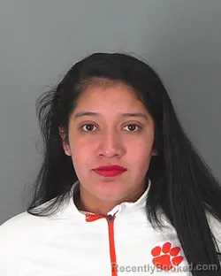 Booking photo from Spartanburg County, South Carolina