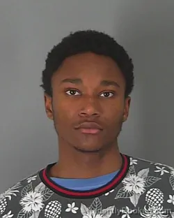 Booking photo from Spartanburg County, South Carolina