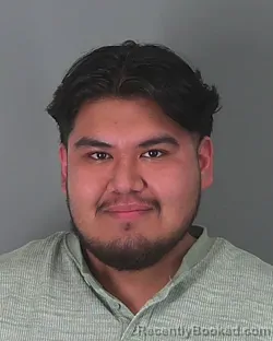 Mugshot of LUIS LOPEZ