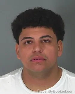 Mugshot of CRISTIAN PALMA