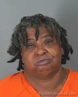Mugshot of RENEE HOLBERT-SULLIVAN