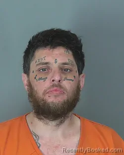 Mugshot of DUSTIN JOHNSON