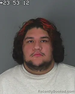 Mugshot of JONATHAN DEJESUS DELFIN