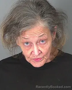 Mugshot of DONNA GOSSETT