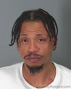 Mugshot of DAMETRIS HOPKINS
