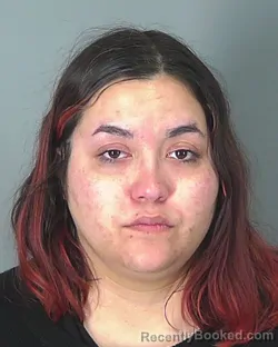 Mugshot of JULIANA RAMIREZ