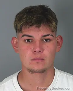 Mugshot of JOSE GOMEZ-NAVARIO