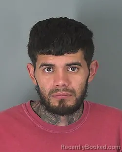 Mugshot of CRUZ MONGE-CASTILLO
