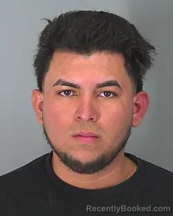 Mugshot of ELDER DUBON-MALDONADO