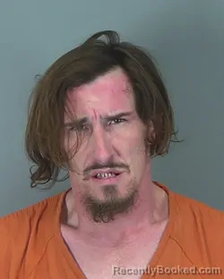 Mugshot of ANTHONY TOMSIC