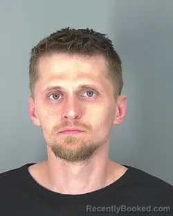 Mugshot of DMITRIY MATEUSH