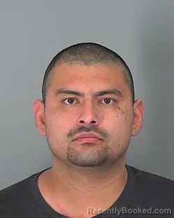 Mugshot of FERNANDO VASQUEZ