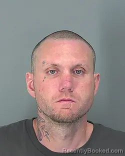 Mugshot of DANIEL BROOKS