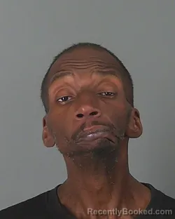 Mugshot of JOHN PARKS