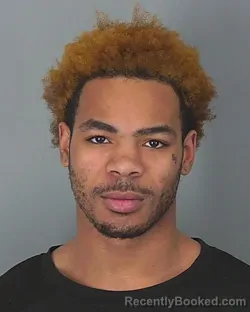 Mugshot of XAVIER SUBER