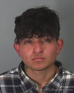 Mugshot of JOSE CARDENAS-PINEDA