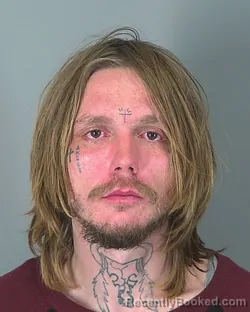 Mugshot of RONALD BROWN