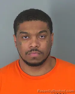 Mugshot of NICHOLAS GRAY