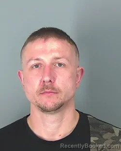 Mugshot of VLADISLAV BURSEVICI