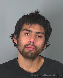 Mugshot of MAURICIO REYNOSO