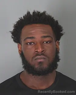 Mugshot of AISIAH MCKINLEY