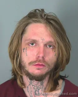 Mugshot of RONALD BROWN