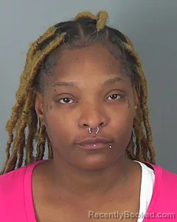 Mugshot of BRITTNI WILLIAMS