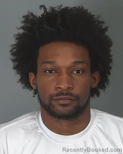 Mugshot of BRYANT HOLLAND