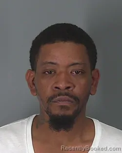 Mugshot of JOSHUA STRIPLING