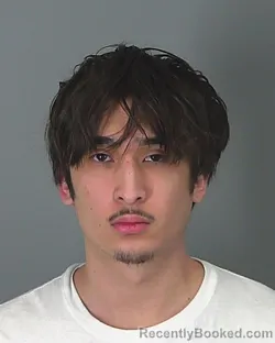 Mugshot of NINOANGELO DONGUINES