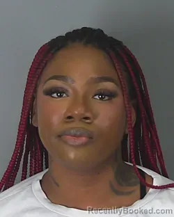 Mugshot of ALEXIS BRANSON