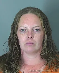 Mugshot of BRENDA CONN