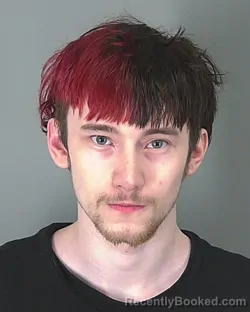 Mugshot of JONATHAN ZEHNER