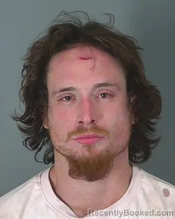 Booking photo from Spartanburg County, South Carolina