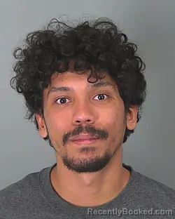 Booking photo from Spartanburg County, South Carolina