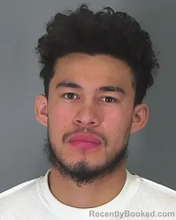 Booking photo from Spartanburg County, South Carolina