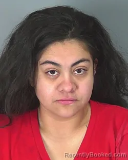 Mugshot of LISETTE MELGAR